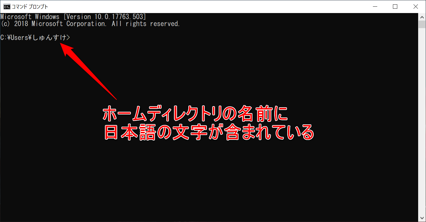 日本語文字を含むホームディレクトリ名