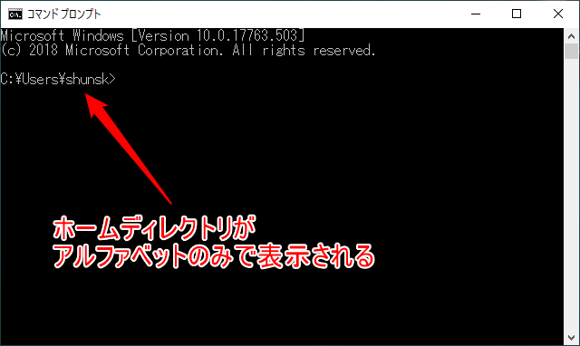 アルファベットのみのホームディレクトリ名